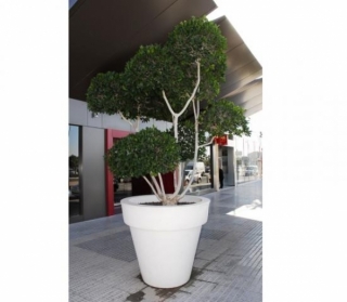 eclairage_decoration_exterieur-pot_magnolia_130_gris-1018-in