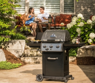 barbecue-royal-340-2