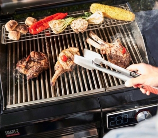 barbecue-SMART-E-12