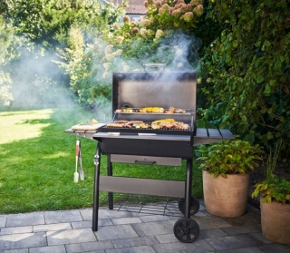 BBQ-Charcoal-L-12