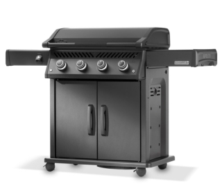 plancha-Napoleon-Rogue-1