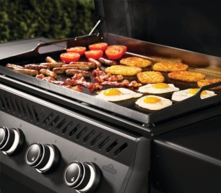 plancha-Napoleon-Rogue-14