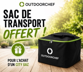 sac-de-transdport-city