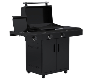 plancha-C-265-3